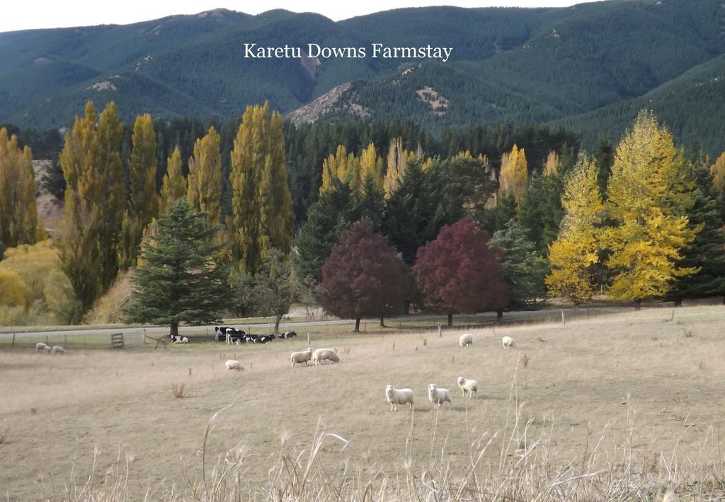 Karetu Downs Farm Stay Hawarden المظهر الخارجي الصورة