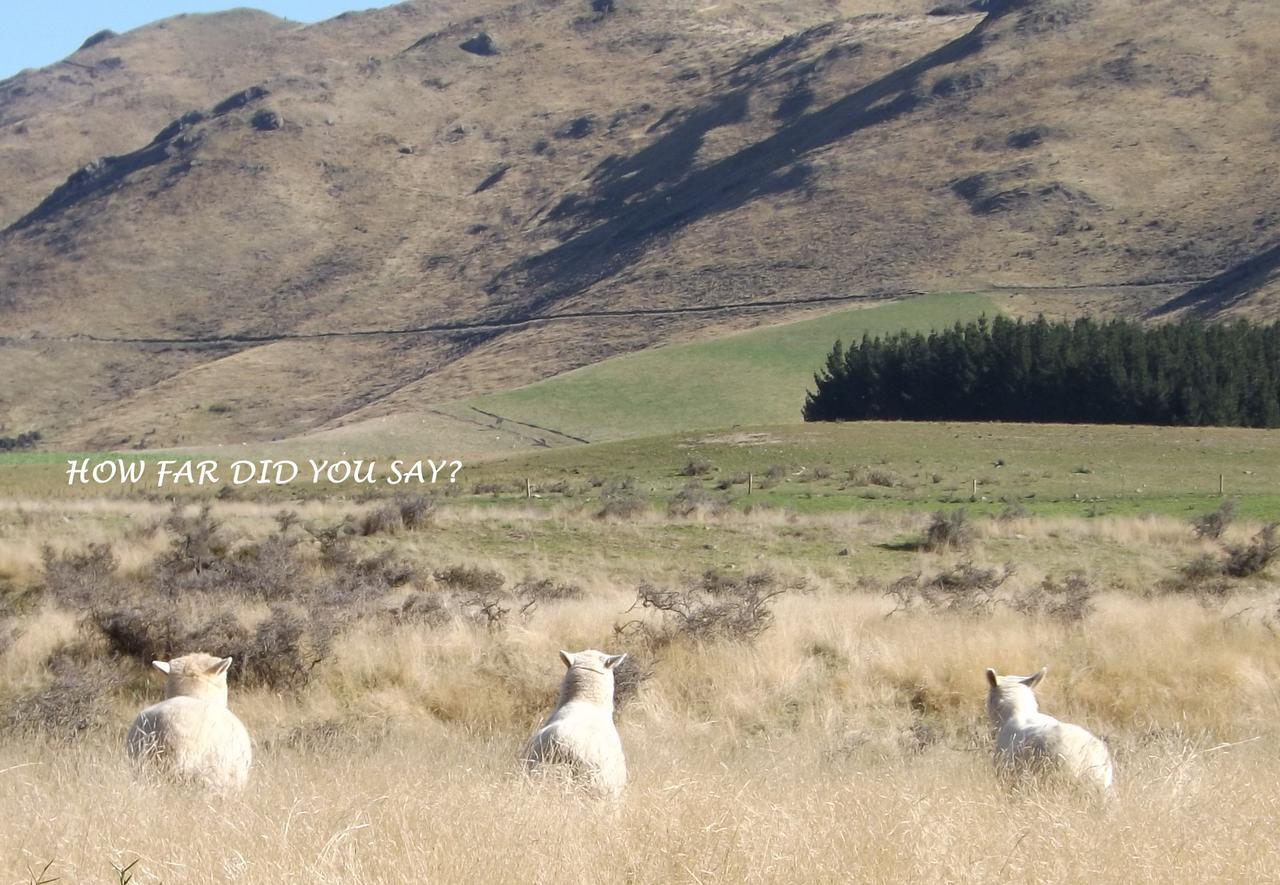 Karetu Downs Farm Stay Hawarden المظهر الخارجي الصورة