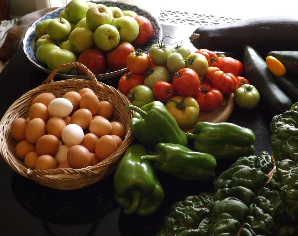 Karetu Downs Farm Stay Hawarden المظهر الخارجي الصورة